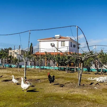 Reel Paradise Villa, Cyprus