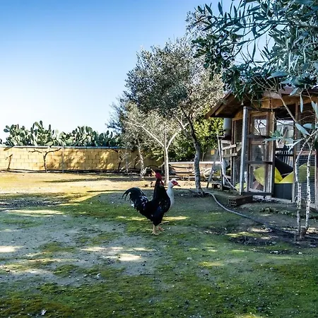 וילה Reel Paradise Villa, Cyprus