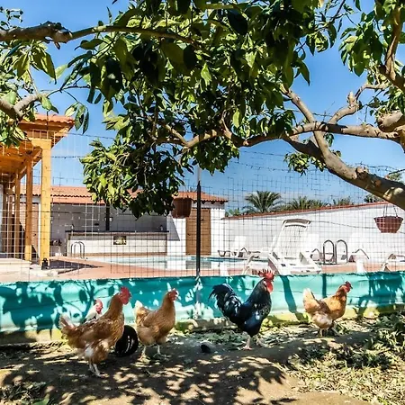 Vilă Reel Paradise Villa, Cyprus *