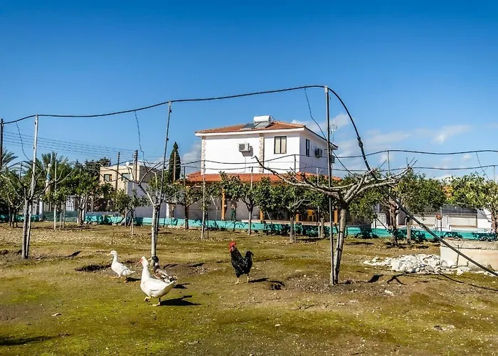 Reel Paradise Villa, Cyprus