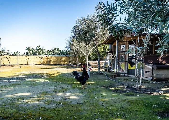 Vilă Reel Paradise Villa, Cyprus