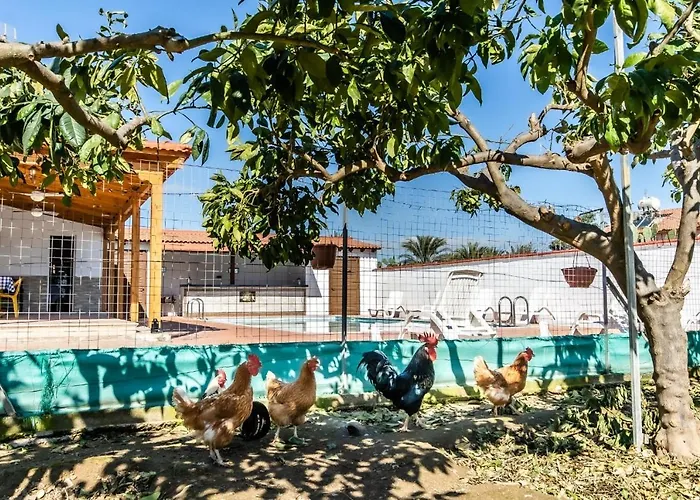 Vilă Reel Paradise Villa, Cyprus *